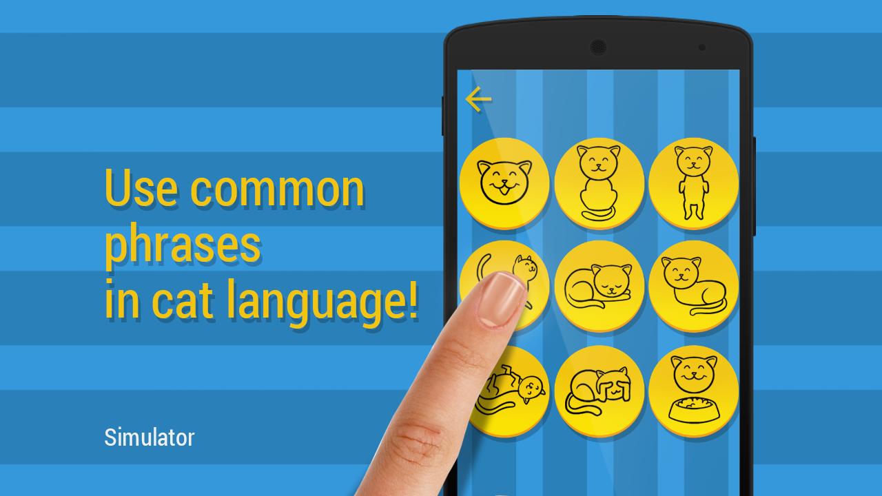 Cat Phrasebook Simulator