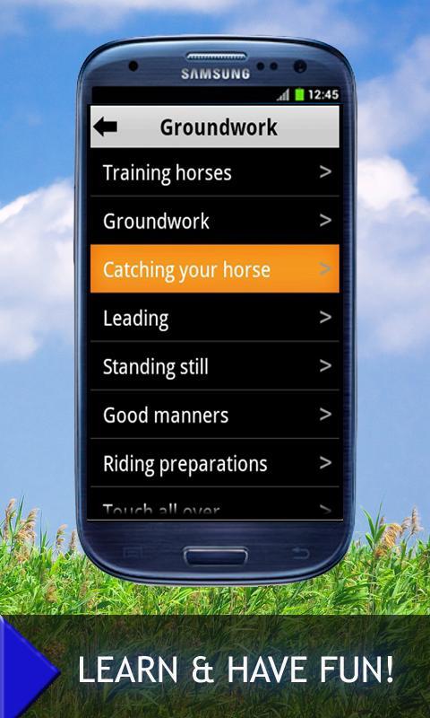 Good Horsemanship: Equestrian