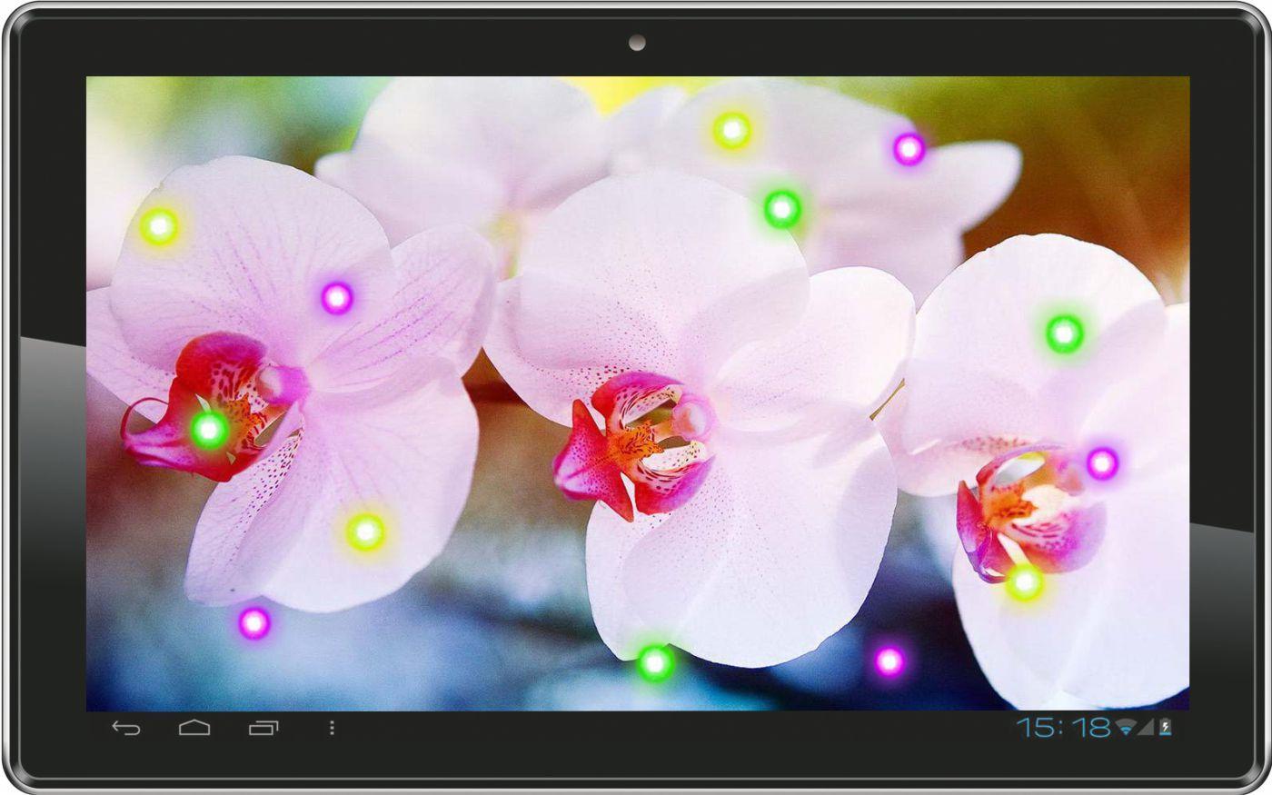 Orchid Love live wallpaper
