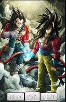 DBZ Dragon Fans Wallpaper