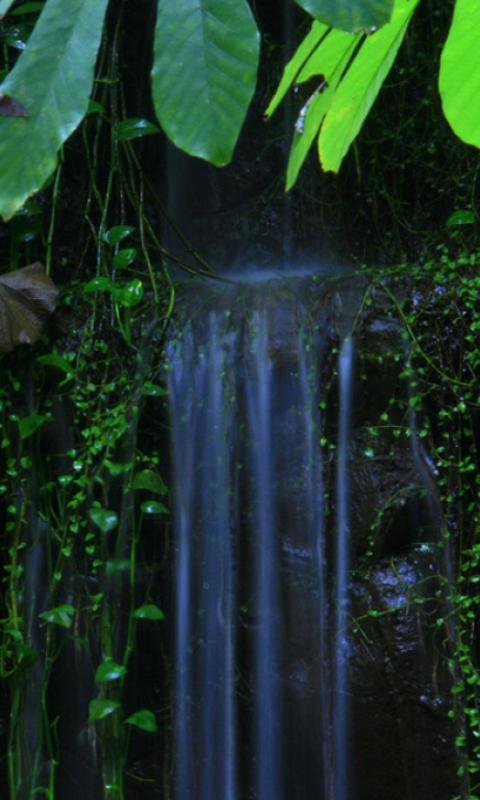 Waterfall Wallpapers