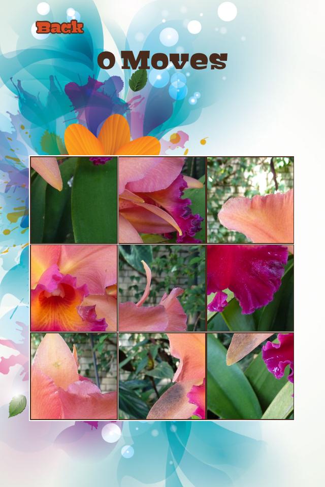 Orchid Flowers Puzzle