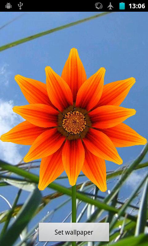 Onix Flowers. Summer.