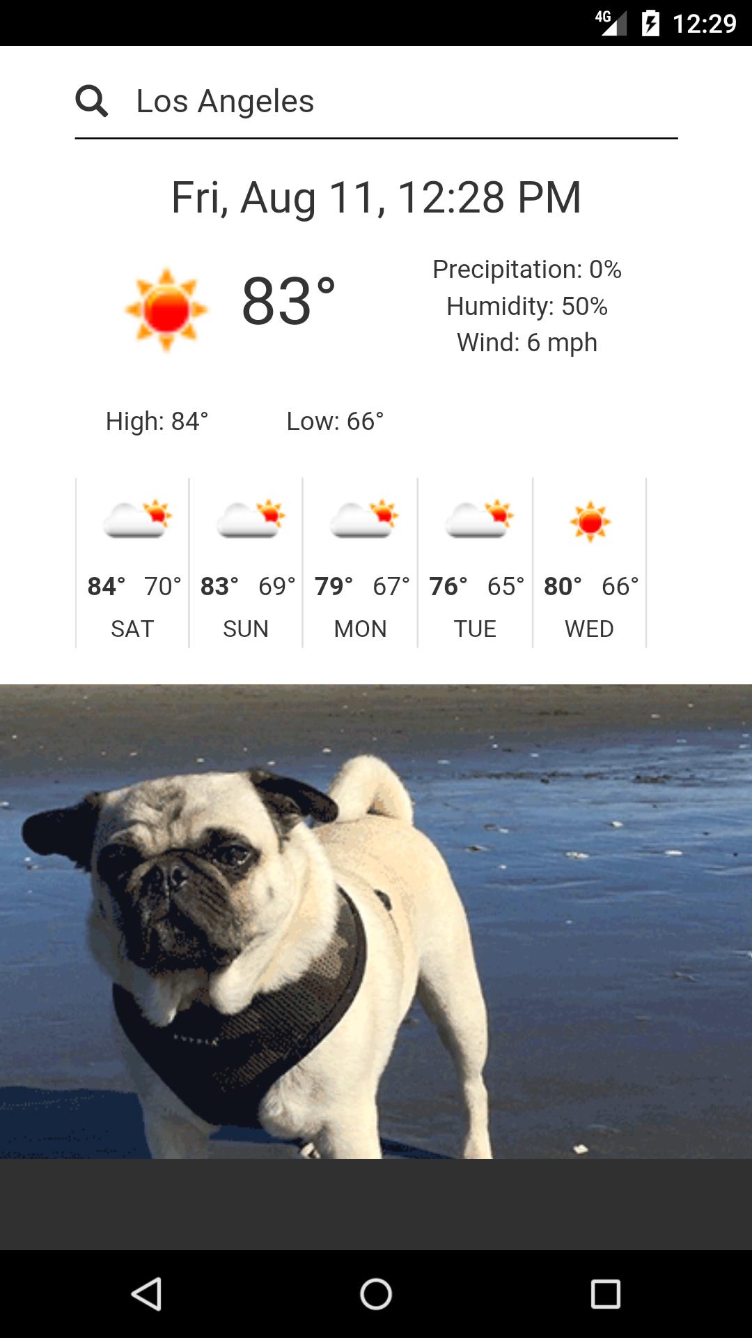 Pug Weather