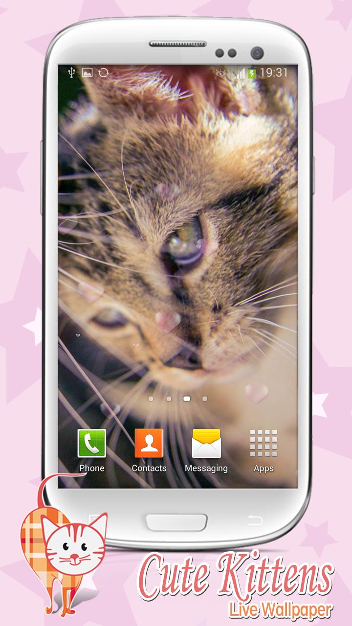 Cute Kittens Live Wallpaper