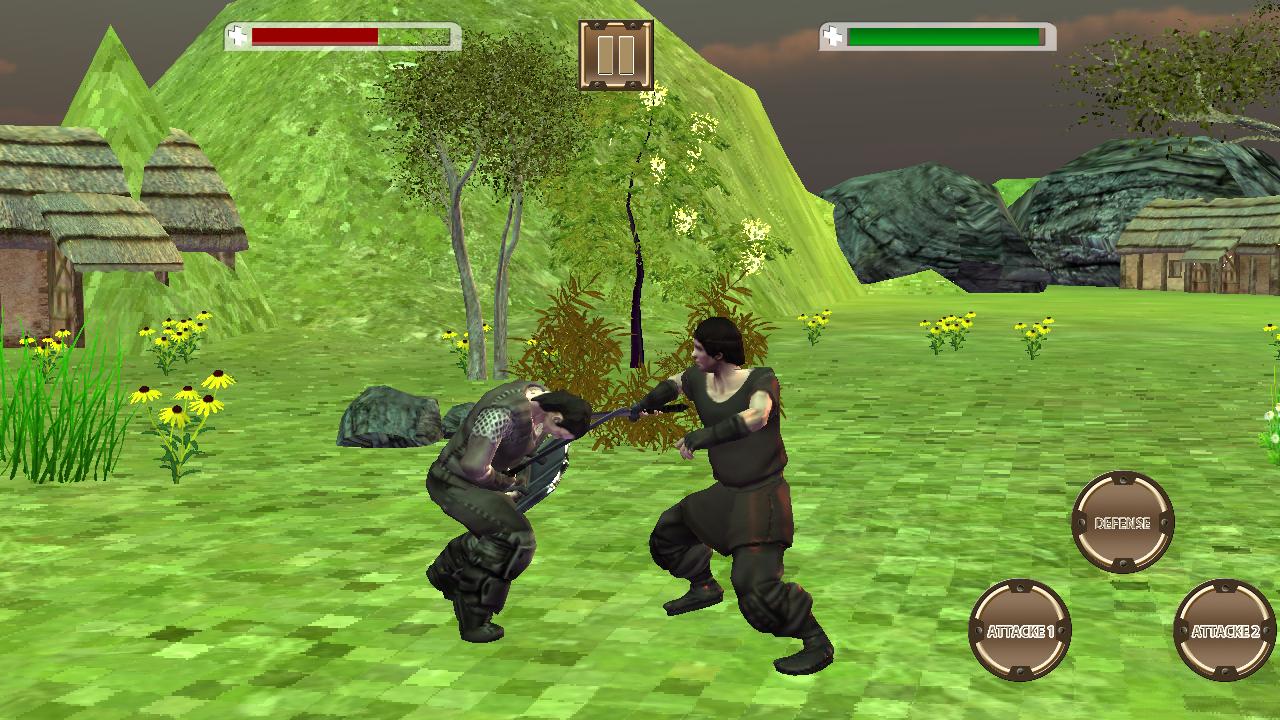 Warrior Assassin Swords Fighting Ninja