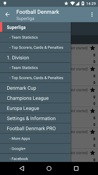 Football Denmark