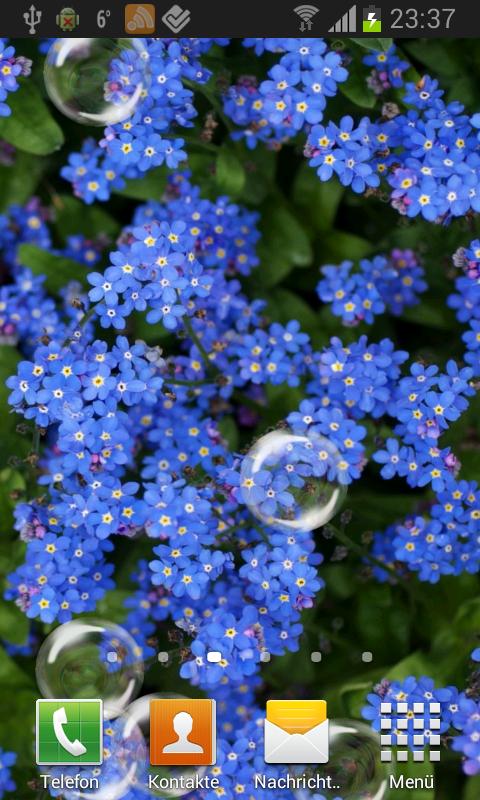 Forget-me-not Live Wallpaper