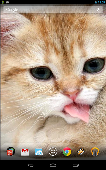 Magic Touch: Fluffy Cat