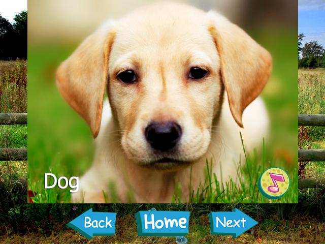 Animal Sounds & Pictures Kids