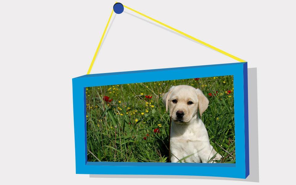 Puppies Puzzle: Retriever