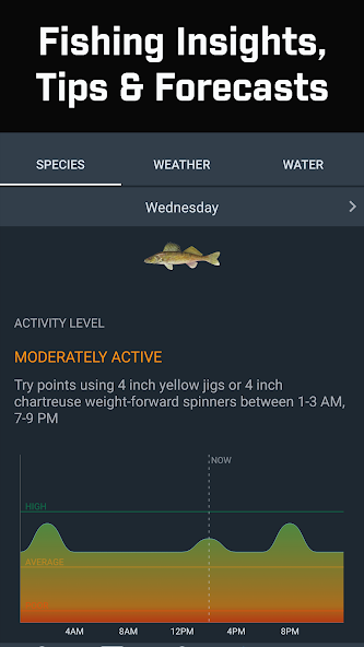 Fishidy