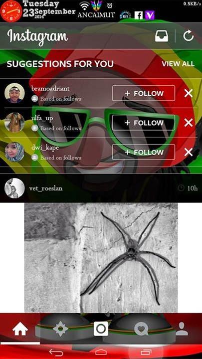 Transparent theme instagram