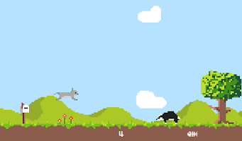 CATDASH