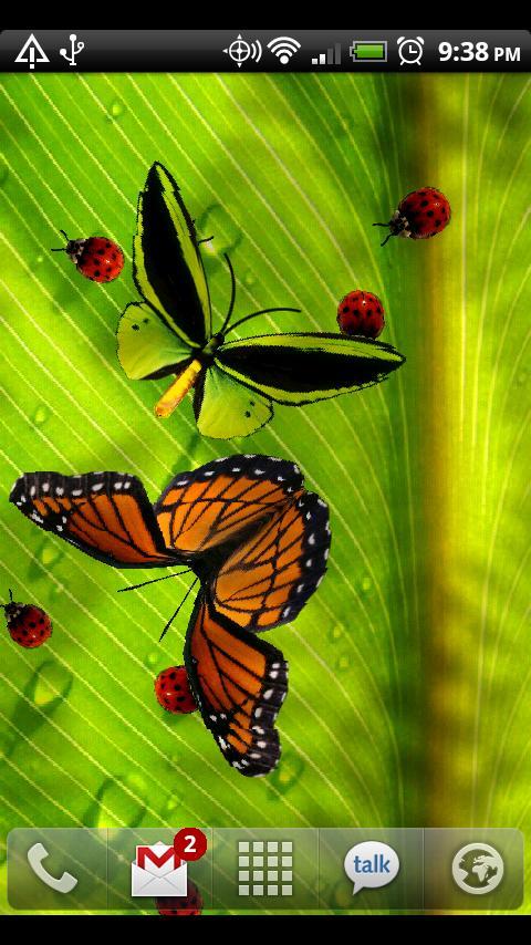 Friendly Bugs Free L.Wallpaper