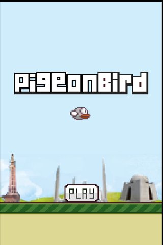 Pigeon Bird