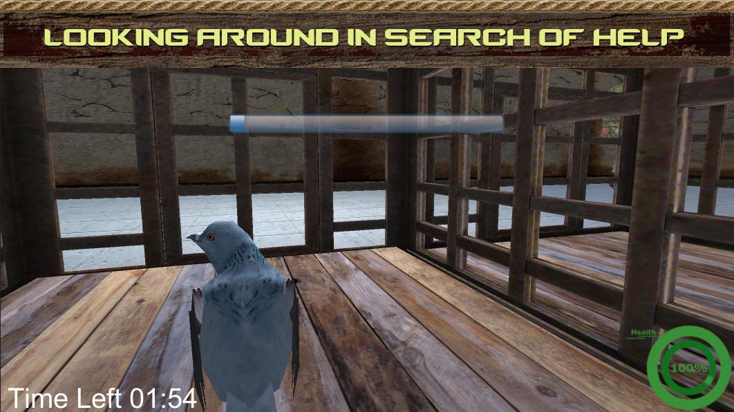 Spy Pigeon - Escape