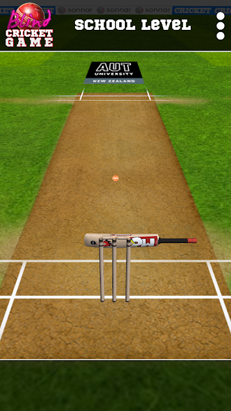 Blind Cricket