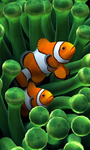 Sim Aquarium Live Wallpaper