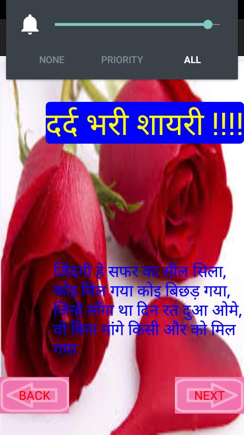 Hindi Shayri Dilwalo K Dil Se