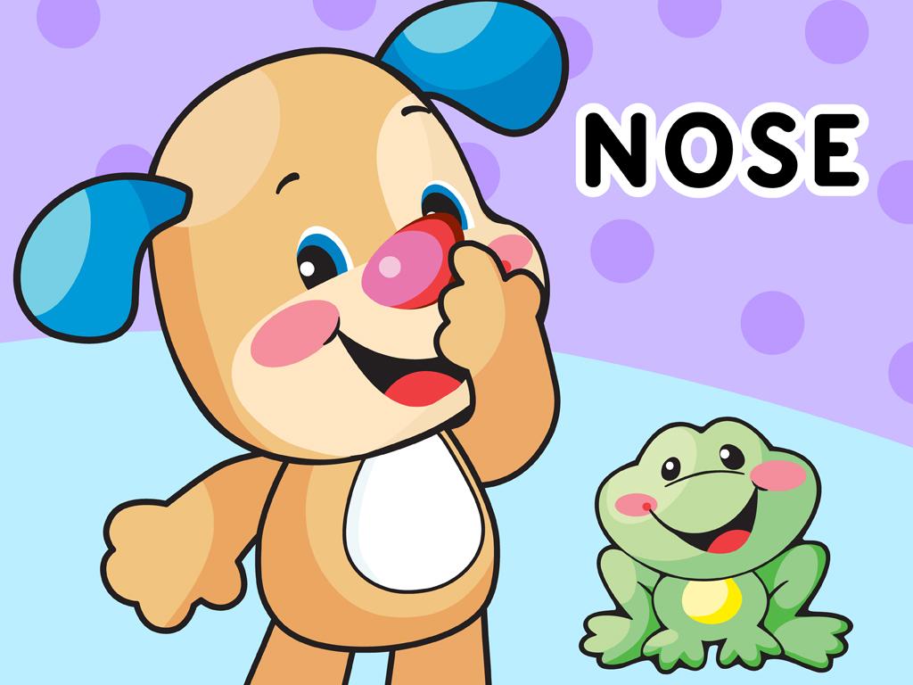 Where's Puppy's Nose? - UK