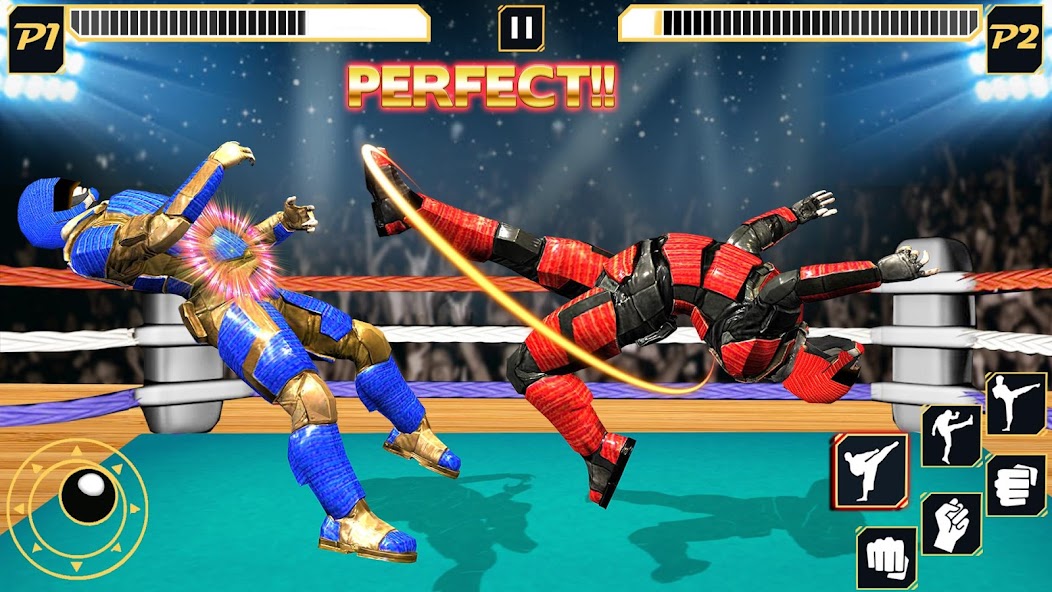 Real Robot Wrestling - Robot F