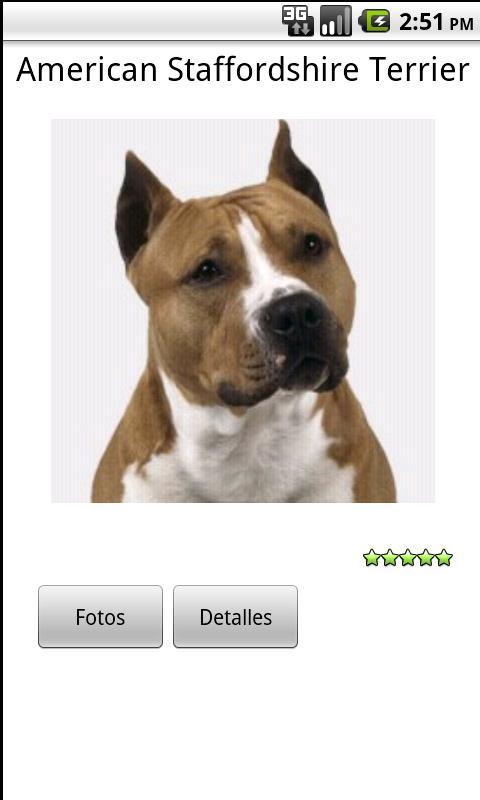 Perros.Todas las razas y fotos