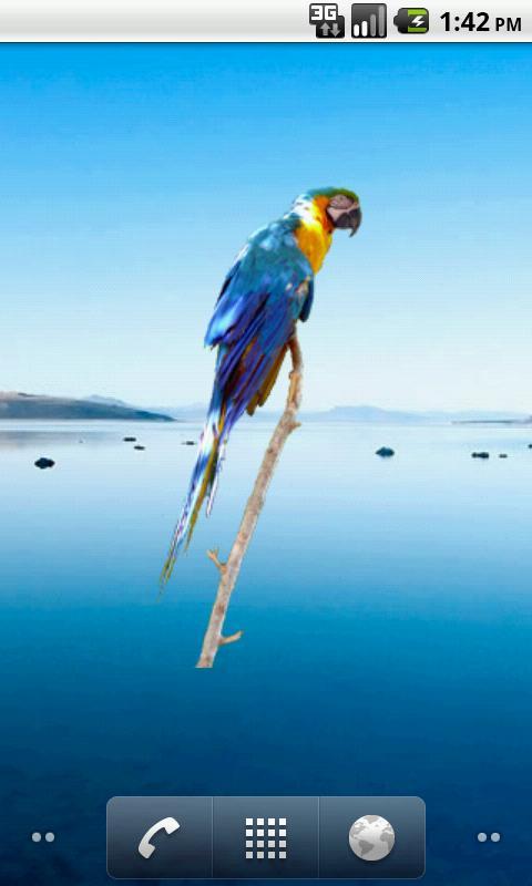 Parrot Blue Sticker