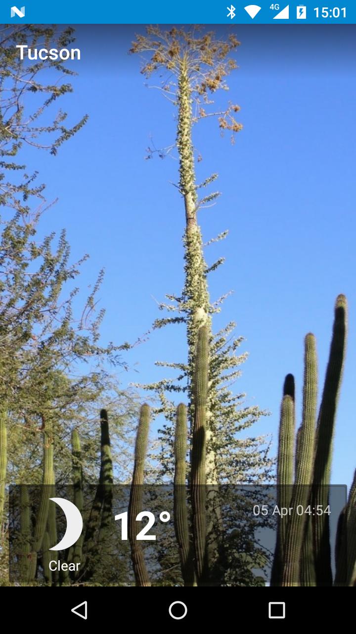Tucson, Arizona