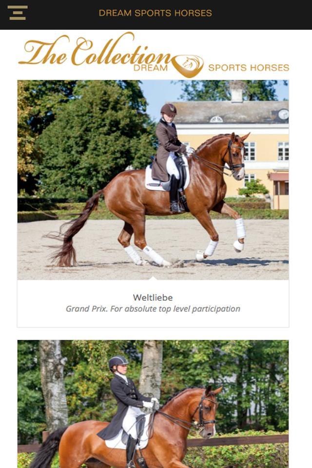 DreamSportsHorses