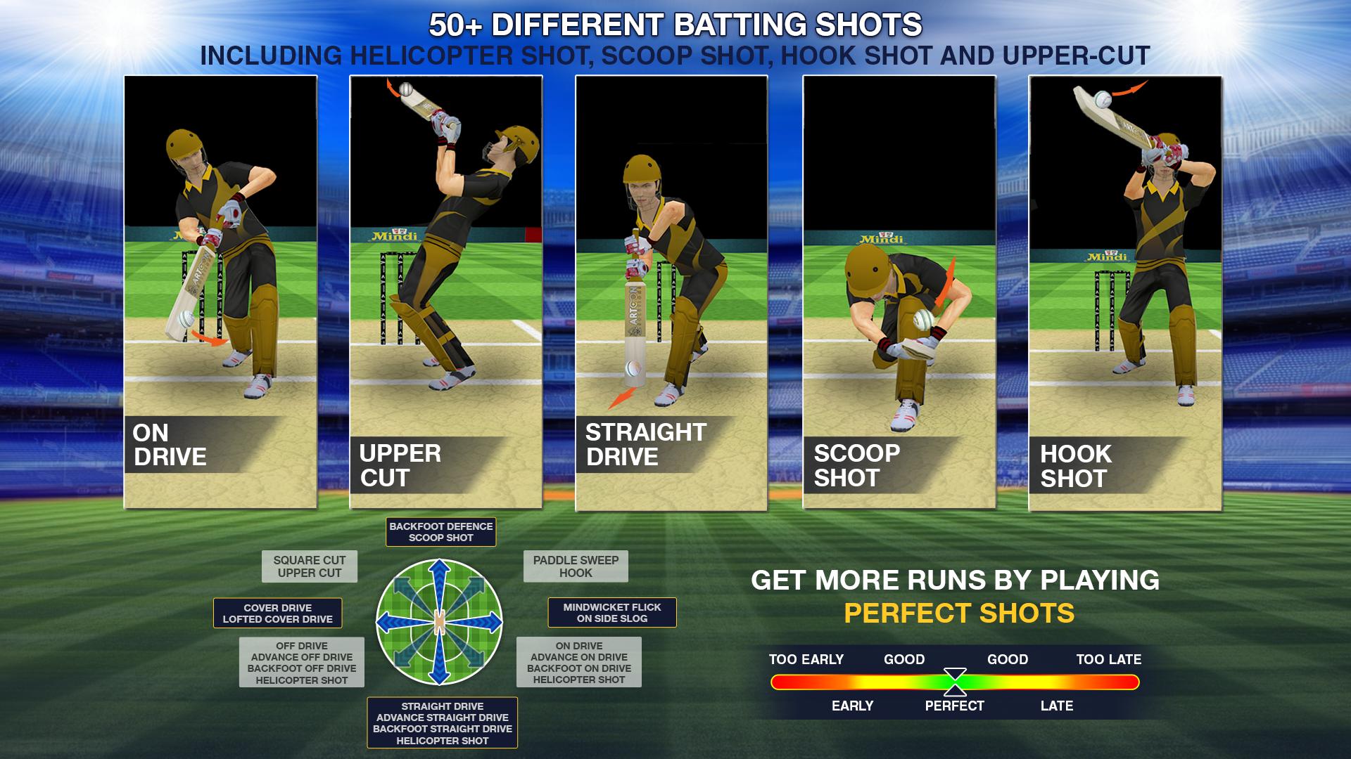 Cricket Multiplayer