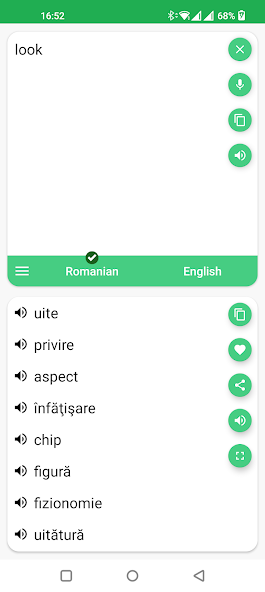 Romanian - English Translator